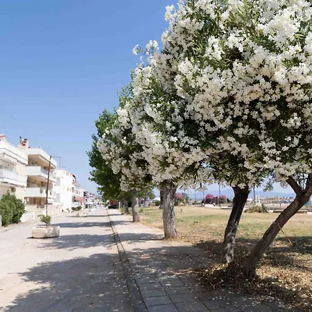 Astradeni アパート *